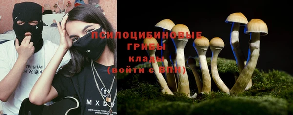 хмурый Богородицк