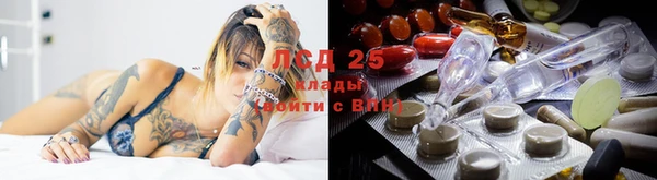 прущая мука Богданович