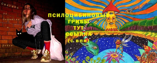 хмурый Богородицк
