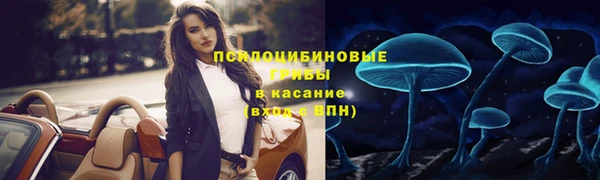 хмурый Богородицк