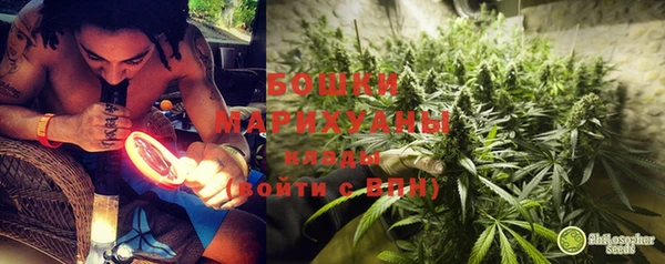 прущая мука Богданович