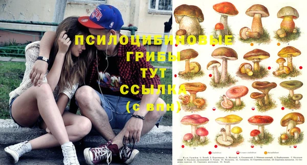 прущая мука Богданович