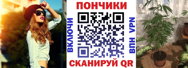 МАРИХУАНА план  Купить  Сосновка 